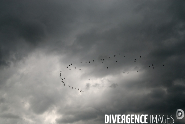 Arbres, ciel, nuages