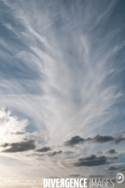 Arbres, ciel, nuages