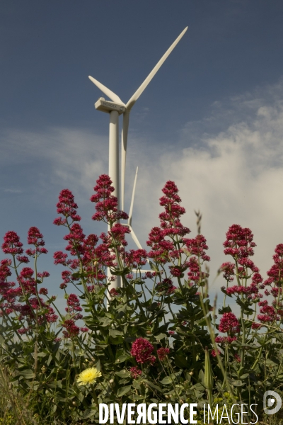 Eoliennes...