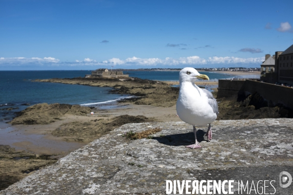 Un été à Saint-Malo