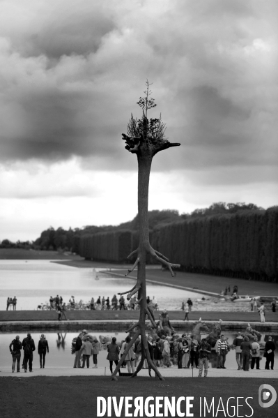 PENONE à Versailles