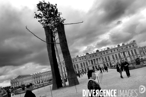 PENONE à Versailles