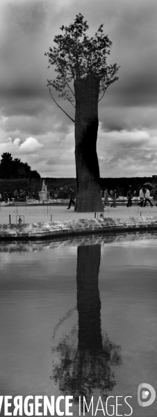 PENONE à Versailles