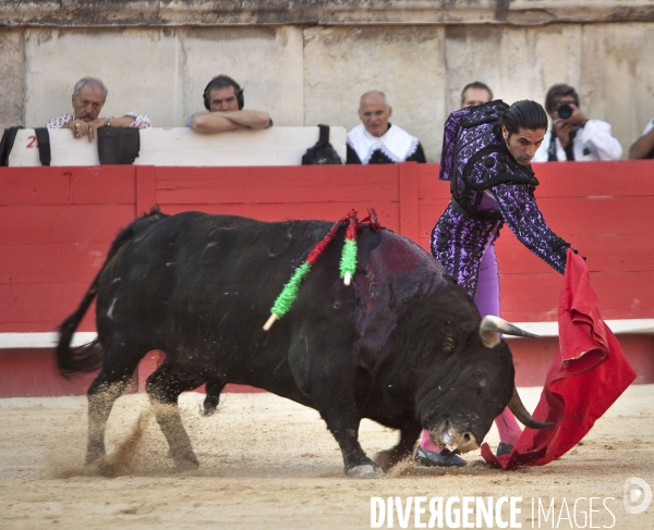 Féria de Pentecôte 2009 Féria de Pentecôte à Nimes , le toro Lanéro est grâcié par Javier Condé pour sa bravoure dans l aréne.