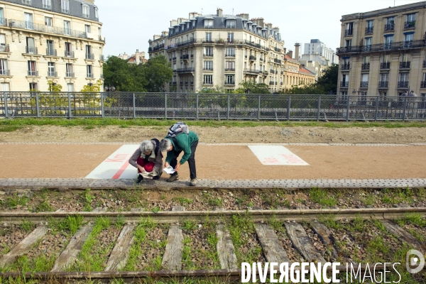 La petite ceinture se  transforme en promenade dans le 15 eme arrondissement