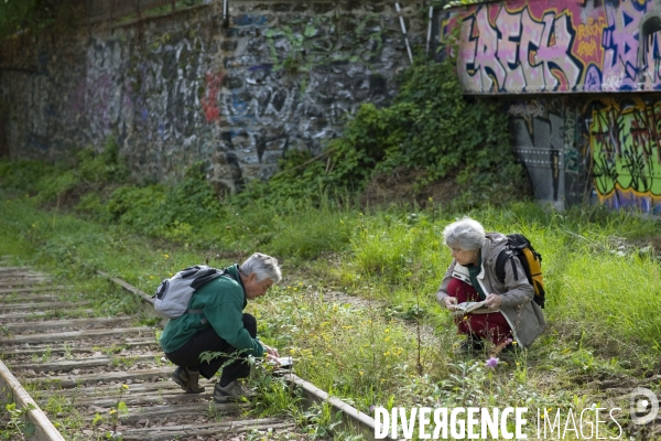 La petite ceinture se  transforme en promenade dans le 15 eme arrondissement