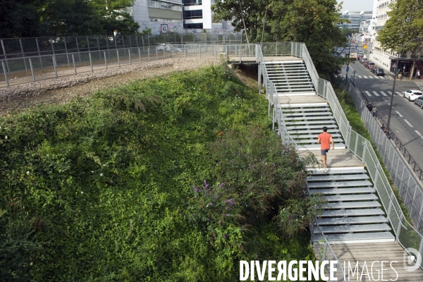 La petite ceinture se  transforme en promenade dans le 15 eme arrondissement