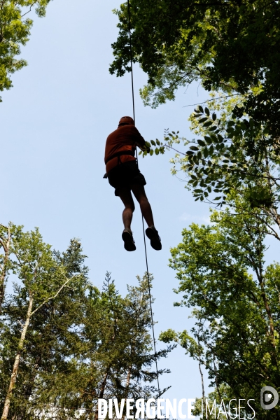 Dans les arbres