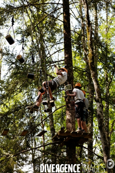 Dans les arbres