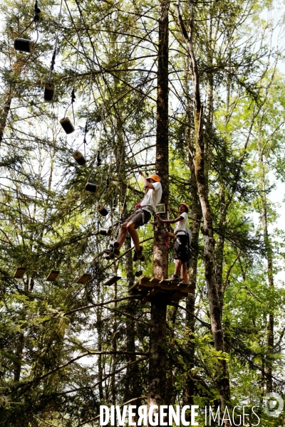 Dans les arbres