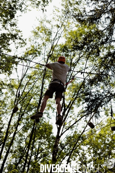 Dans les arbres