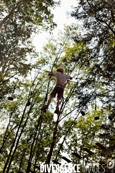 Dans les arbres