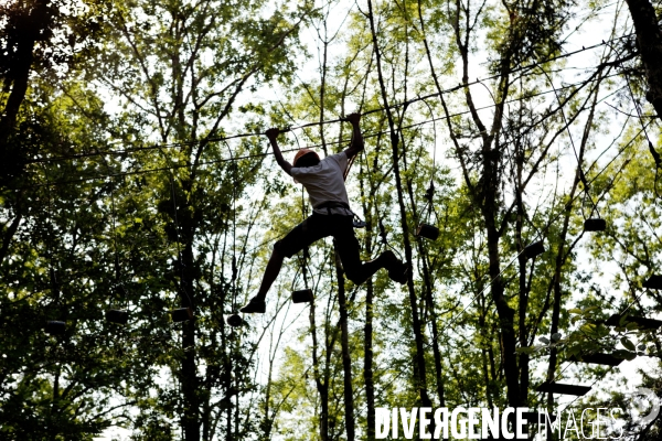 Dans les arbres