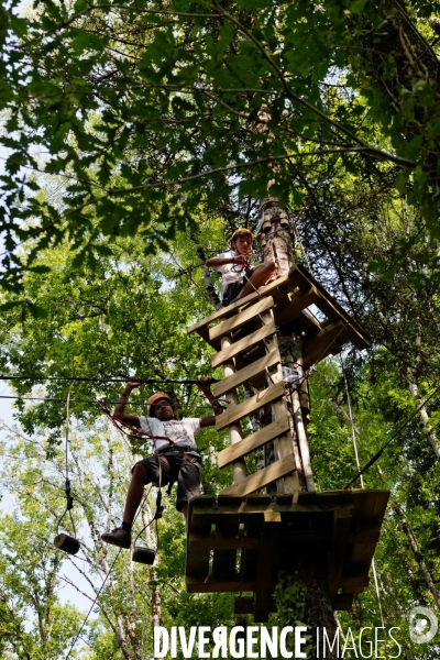 Dans les arbres