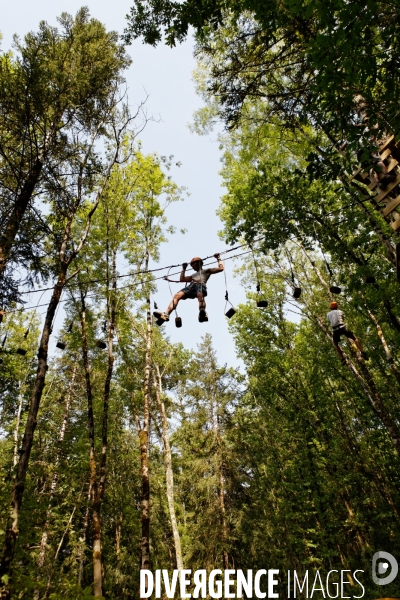 Dans les arbres