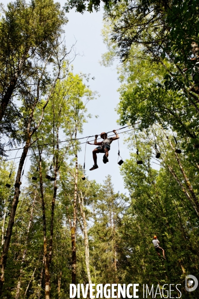 Dans les arbres