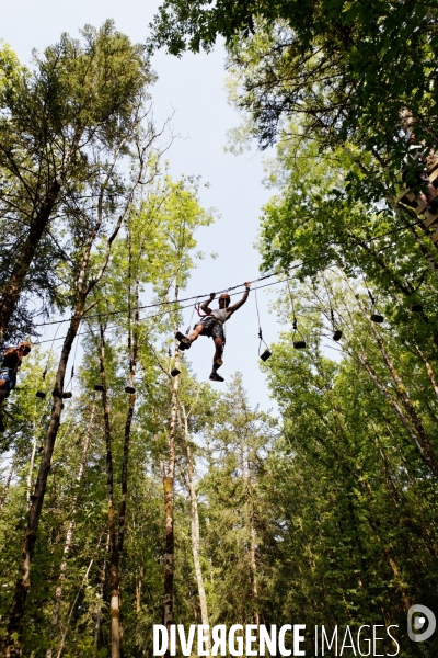 Dans les arbres