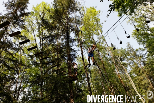 Dans les arbres