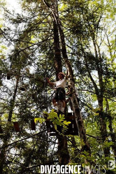 Dans les arbres