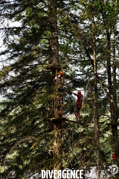 Dans les arbres