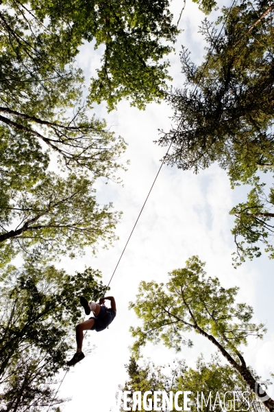 Dans les arbres