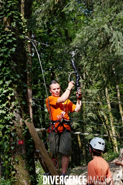 Dans les arbres