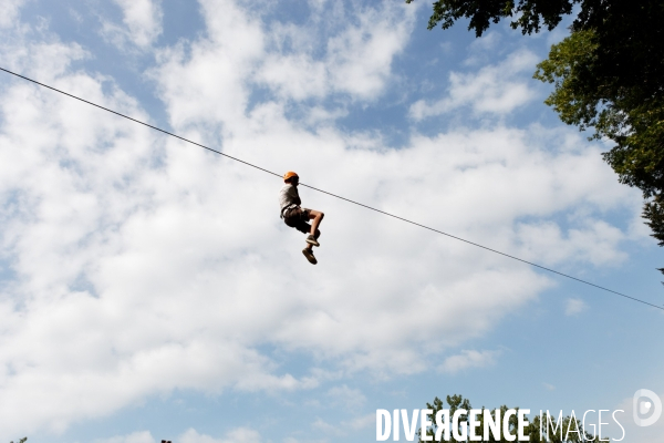Dans les arbres