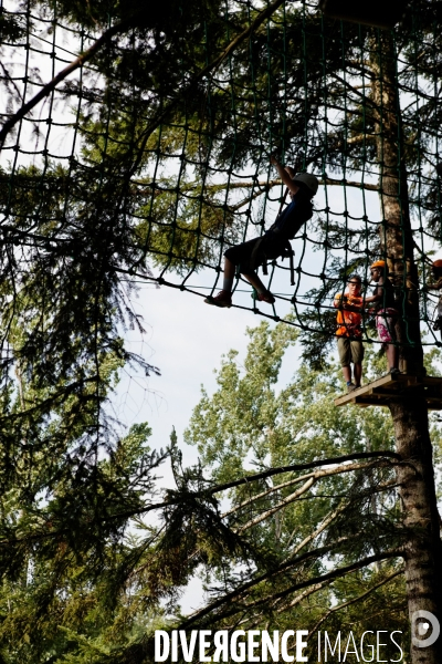 Dans les arbres