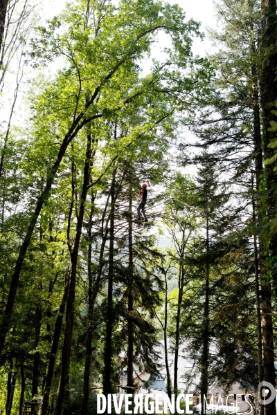 Dans les arbres