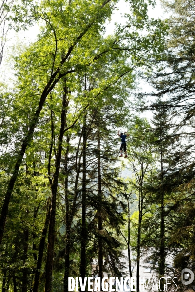 Dans les arbres