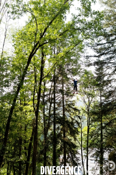 Dans les arbres