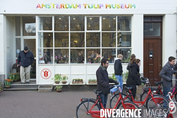 Amsterdam. Le musee privé  de la tulipe