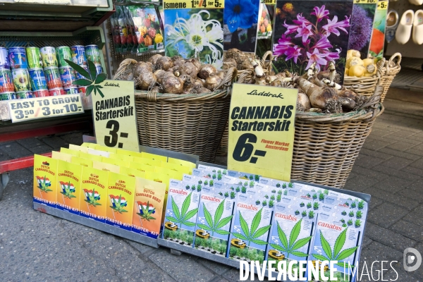 Amsterdam.Au marché aux fleurs, des kits pour commencer une plantation personnelle de cannabis