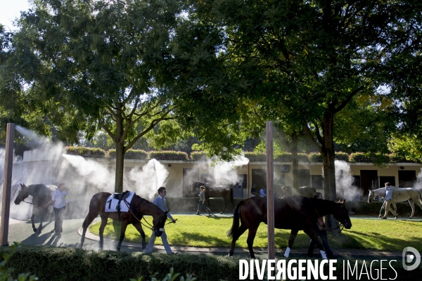 Hippodrome d Auteuil