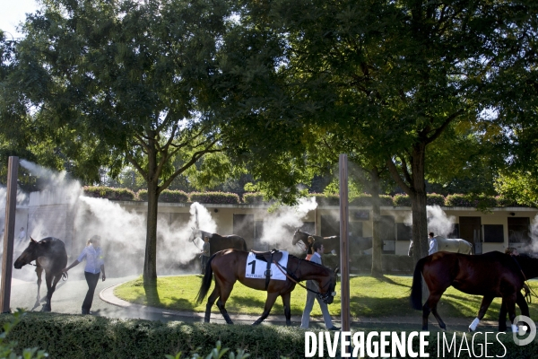 Hippodrome d Auteuil