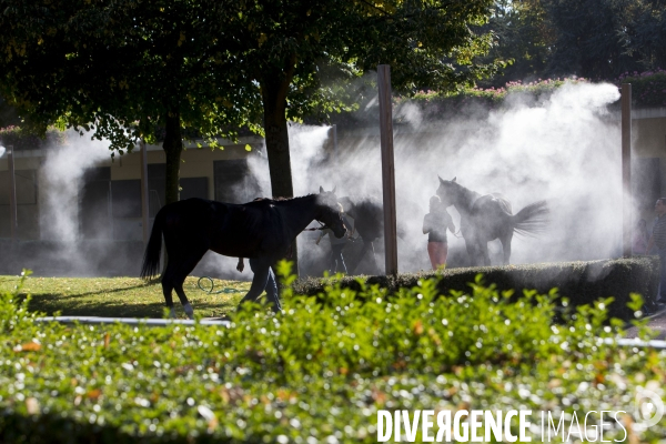 Hippodrome d Auteuil