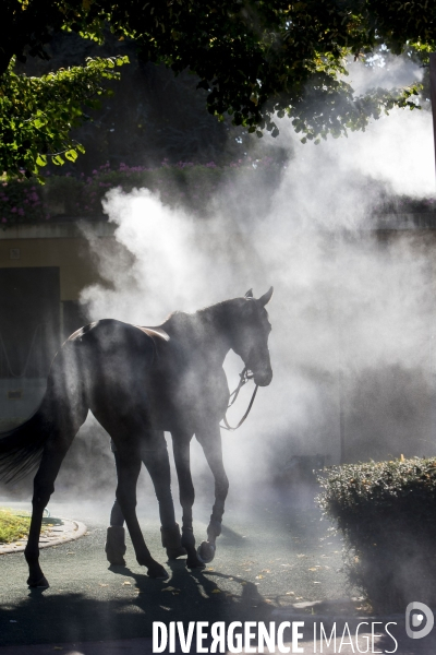 Hippodrome d Auteuil