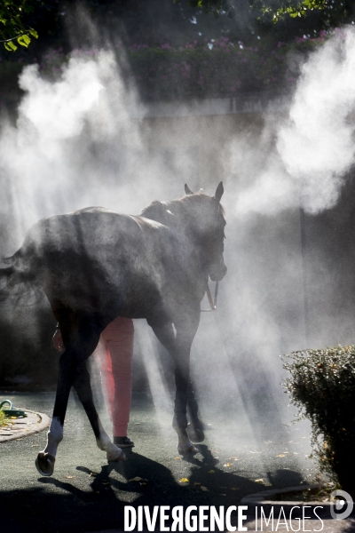 Hippodrome d Auteuil