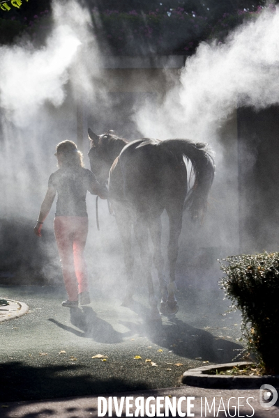 Hippodrome d Auteuil