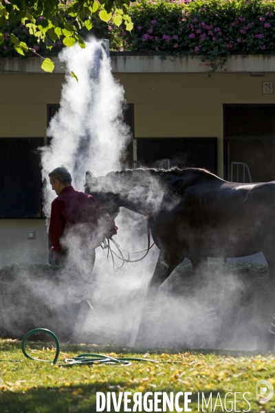 Hippodrome d Auteuil