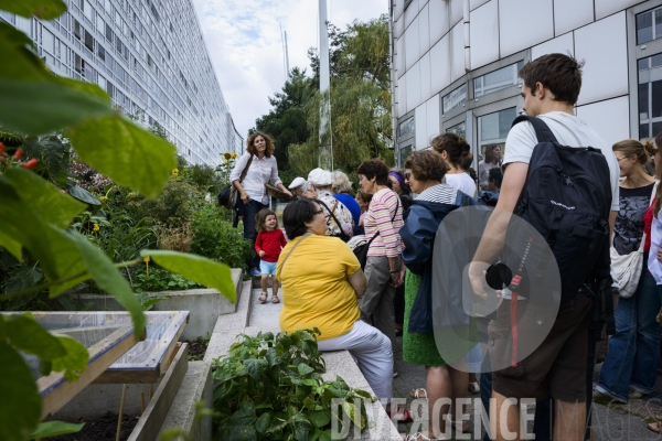 Les Incroyables Comestibles Paris