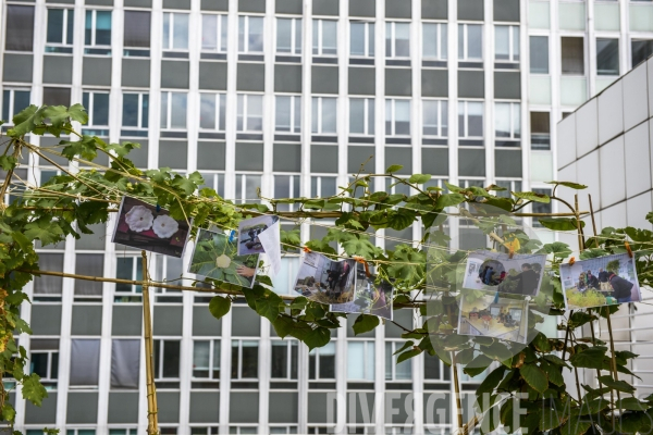 Les Incroyables Comestibles Paris