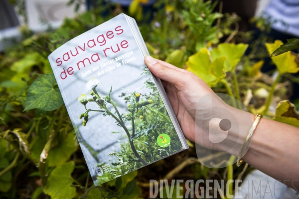 Les Incroyables Comestibles Paris