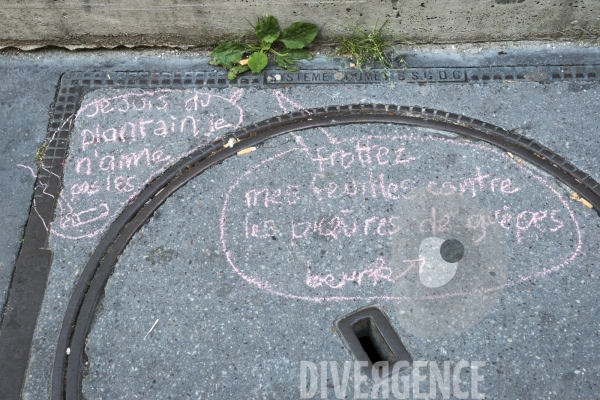 Les Incroyables Comestibles Paris
