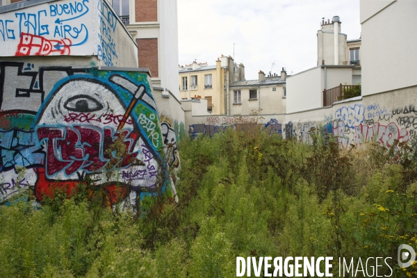 Illustration Septembre 2013..Terrain en friche dans une rue du 20 Eme arrondissement