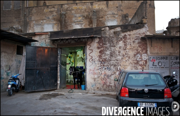 La Sicile / Palerme