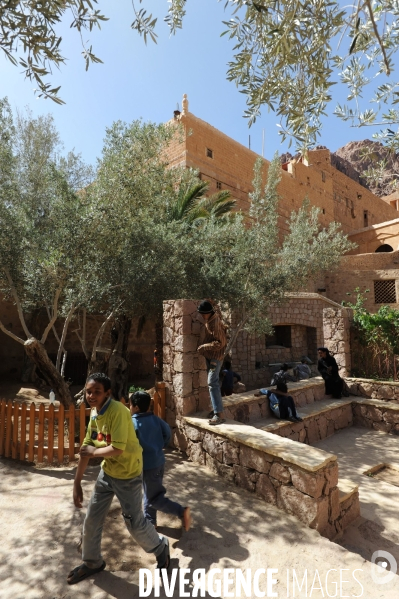 EGYPTE : Monastère Sainte-Catherine du Sinai.