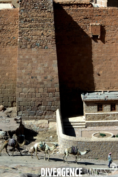 EGYPTE : Monastère Sainte-Catherine du Sinai.