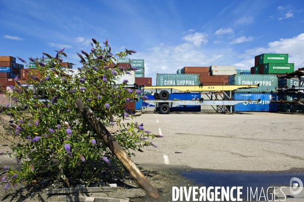 Conteneurs/Containers dans le port du Havre