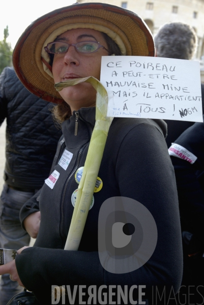 Manifestation contre Monsanto le 12 octobre 2013